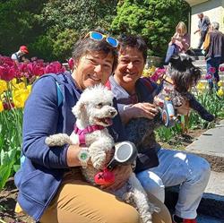 Dog & cat sitter Anna e Luisa, Rho orari di apertura