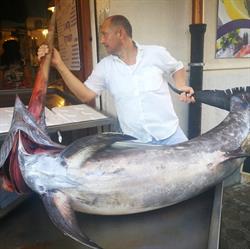 Pescheria Canale, Reggio Calabria orari di apertura