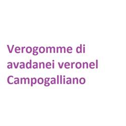 Verogomme, Campogalliano orari di apertura