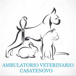 Ambulatorio Veterinario Casatenovo, orari di apertura