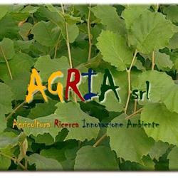 Agria S.r.l., Viterbo orari di apertura