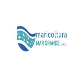 Maricoltura Mar Grande Scarl, Taranto orari di apertura