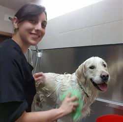 IL MIO CANE DI BARBARA RITO, Pinzolo orari di apertura