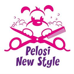 Pelosi New Style di Silvia, Suzzara orari di apertura
