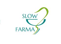 S.A.L.O. PHARMA SRL, Capannori orari di apertura