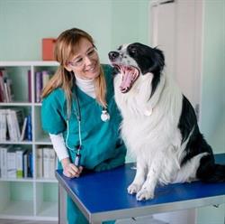 Ambulatorio Veterinario Associato, Pergine Valsugana orari di apertura