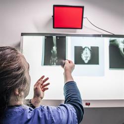 Dott.ssa Marcella Paoli Medico Veterinario Primiero San Martino di Castrozza, Transacqua - Orari di apertura