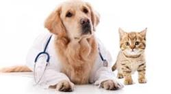 Ambulatorio Veterinario Uta -Dott. Tatti Andrea, orari di apertura