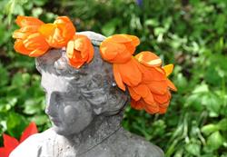 Messer Tulipano, Pralormo orari di apertura