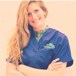 Dott.ssa Chiara Ricci Bitti Fisioterapista, Bologna orari di apertura