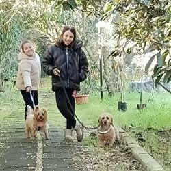 Dog Sport Center, Altamura orari di apertura