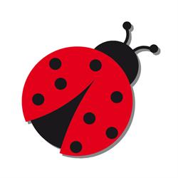 La Coccinella, Palermo orari di apertura