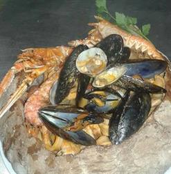Ristorante Lo Spuntino, Lariano orari di apertura
