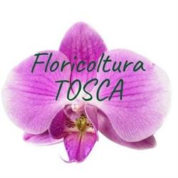 Floricoltura Tosca, Torreglia orari di apertura