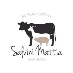 Azienda agricola Salvini Mattia, Santa Brigida orari di apertura