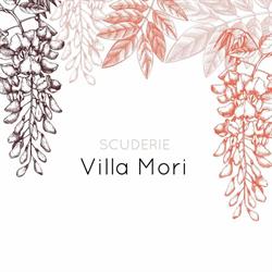 Scuderie VILLA MORI, Santa Maria a Monte orari di apertura