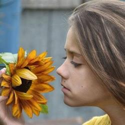 Cooperativa Sociale Girasole, Sannicandro di Bari orari di apertura
