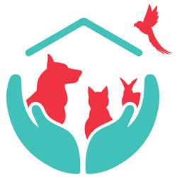 Clinica Veterinaria ARCA, Vaiano orari di apertura