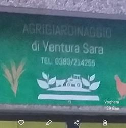 Agrigiardinaggio Voghera, orari di apertura
