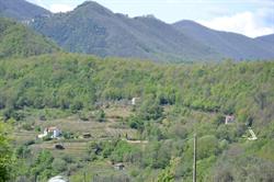Azienda Agricola La Padula, Tendola orari di apertura
