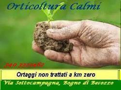 Orticoltura Calmi, Besozzo orari di apertura
