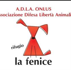 Rifugio La Fenice, Napoli orari di apertura