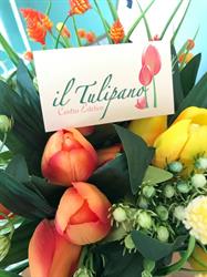 Il Tulipano, Ponte crepaldo orari di apertura