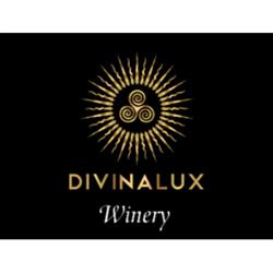 Divinalux Winery Estate, Riolo Terme orari di apertura