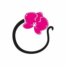 L'Orchidea, San Donato di Lecce orari di apertura