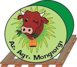 Az. Agricola Mongiorgi - Spaccio carni, Castelfranco Emilia orari di apertura