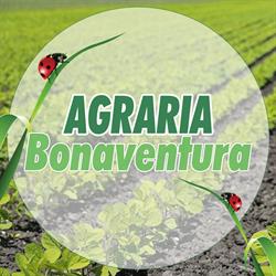 Agraria Bonaventura di Francesco Bonaventura Erice, Napola - Orari di apertura