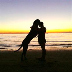 Islamorada - Dog Beach, Fano orari di apertura