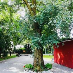 B&B Dal Bagolaro, Spresiano orari di apertura