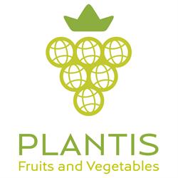 Plantis Group S.r.l., Taranto orari di apertura
