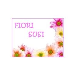 Fiori Susi, Gradisca d'Isonzo orari di apertura