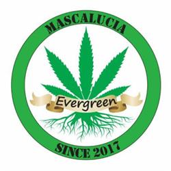 Evergreen Grow Shop, Mascalucia orari di apertura