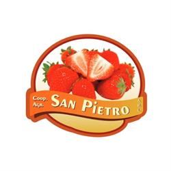 Cooperativa Agricola San Pietro, Parete orari di apertura