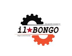 Il bongo s.r.l., Lucca orari di apertura