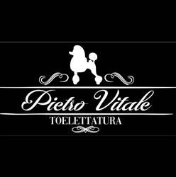 Grooming Pietro Vitale, Catania orari di apertura