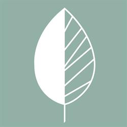 BOTANEA Guest House, Fonte Nuova orari di apertura