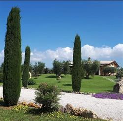 Agriturismo Casa degli Ulivi, Cerveteri orari di apertura