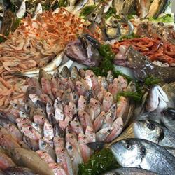 Gente di Mare Pescherie Esposito, Napoli orari di apertura