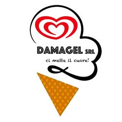 Damagel Srl, Vecchiano orari di apertura