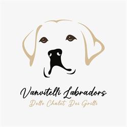 Allevamento Labrador Retriever Vanvitelli Labradors Affisso “Dello Chalet Dei Grilli”, Capua orari di apertura