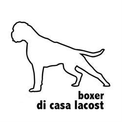 BOXER DI CASA LACOST, Reggiolo orari di apertura