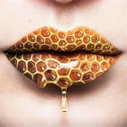 Orange Apicoltura, Retorbido orari di apertura