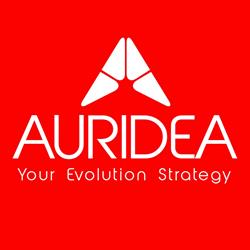 Auridea Srl, Creazzo orari di apertura