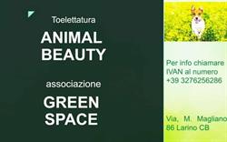 Toelettatura"Animal Beauty" associazione"Green Space", Larino orari di apertura