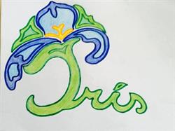 Associazione IRIS Onlus, Casalnoceto orari di apertura