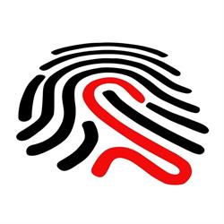 ASSOCIAZIONE STRADE APS, Cento orari di apertura